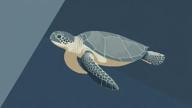 Sea turtle freed from fishing line in Haifa by three lifeguards
